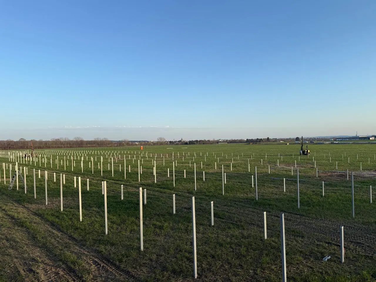 Field analysis & site preparation